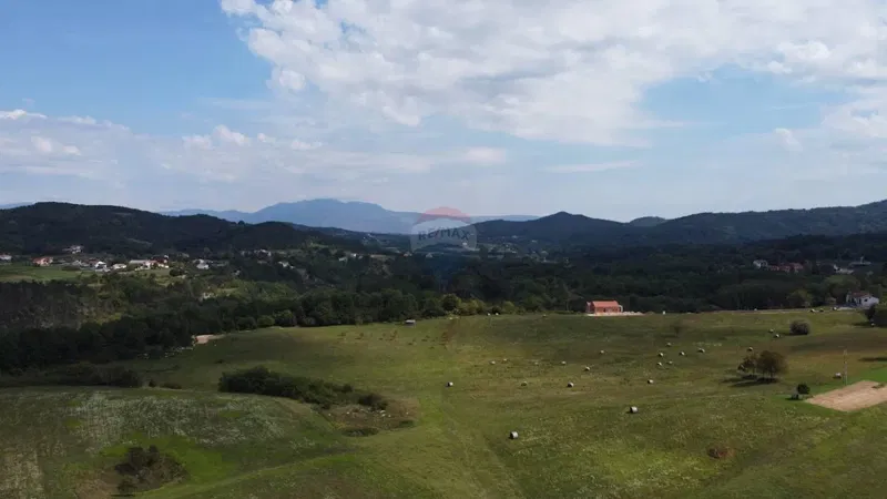 Telek Pazin – 2