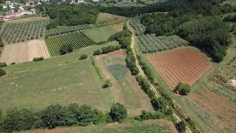 Non-structural plot Vižinada, 19.280m2 – 2
