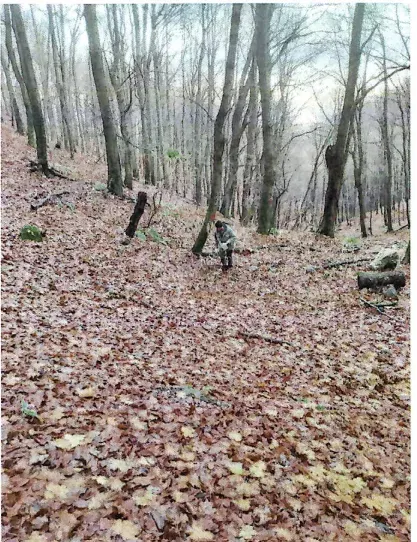 Działka Kaniža, Ivanec, 399m2 – 2