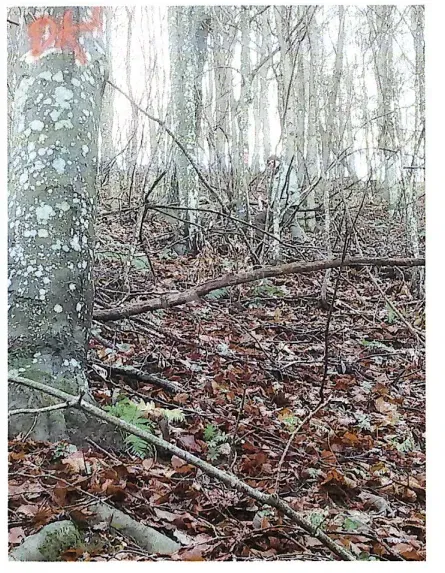 Działka Kaniža, Ivanec, 399m2 – 3