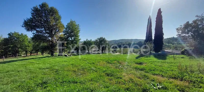 Vicino a Montona - in un ambiente idilliaco, terreno edificabile! – 3
