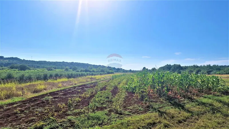 Земельный участок нестроительного назначения Kršete, Buje, 6.331m2 – 3