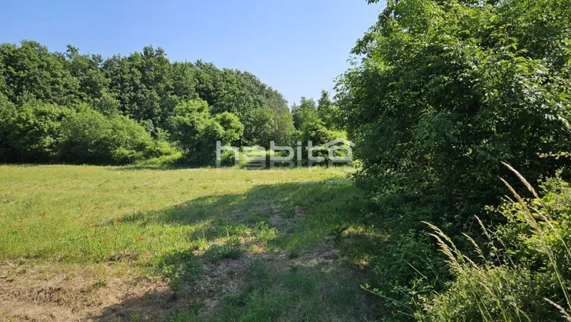 Porec 20 km, Tinjan surroundings - Building land in a quiet location – 2