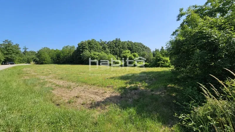 Porec 20 km, Tinjan surroundings - Building land in a quiet location – 3