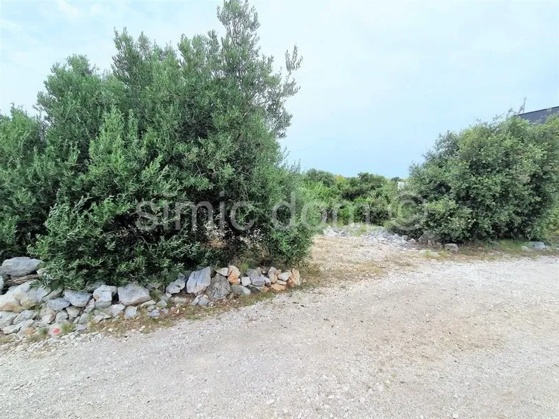 Telek Kanica – 2