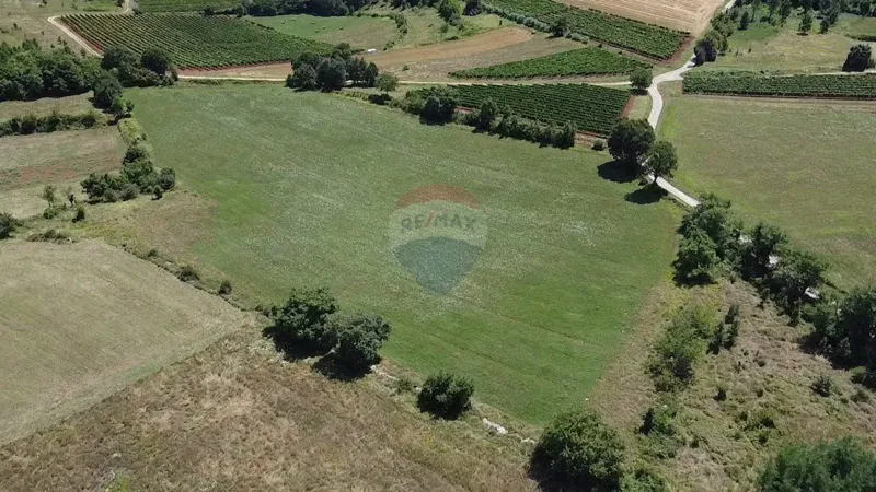 Non-structural plot Vižinada, 11.290m2 – 2