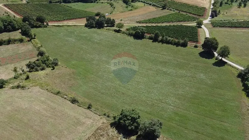 Non-structural plot Vižinada, 11.290m2 – 3