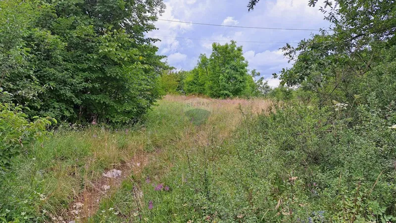 Telek Veli Brgud – 2