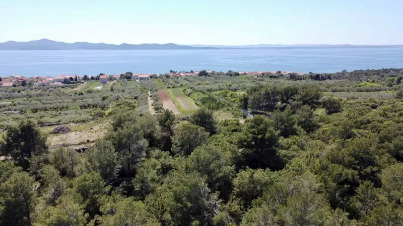 Terreno Diklo – 3