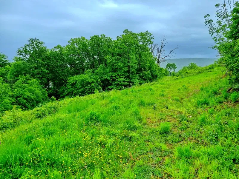 Uvala Soline, building land in a quiet location, for sale! – 3