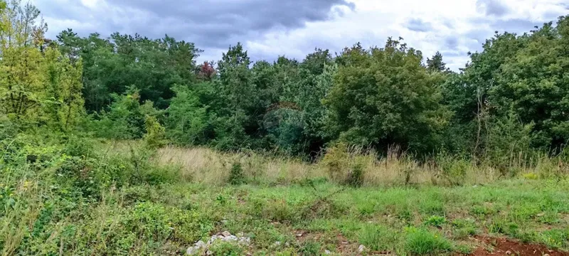 Building plot Laginji, Žminj, 1.953m2 – 2