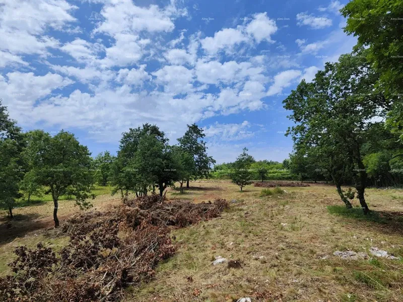 Działka Barban – 2