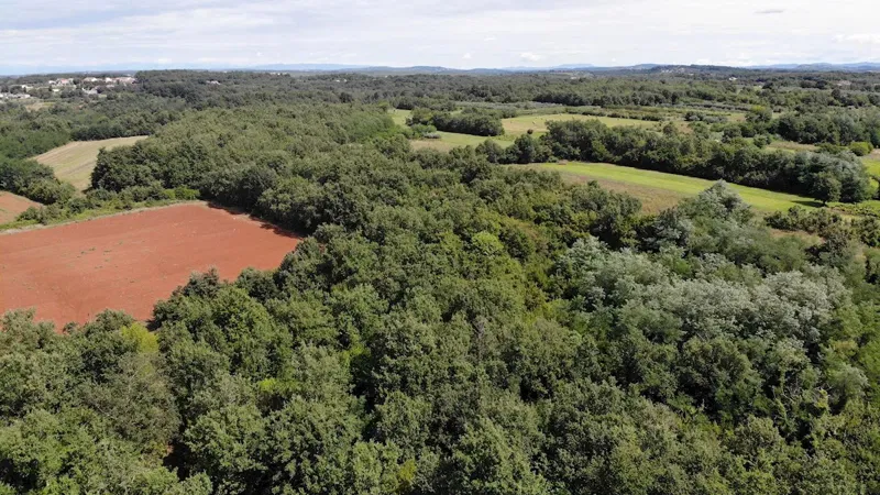 Immobiliare Istria, vendo terreno agricolo, dintorni Umag – 2
