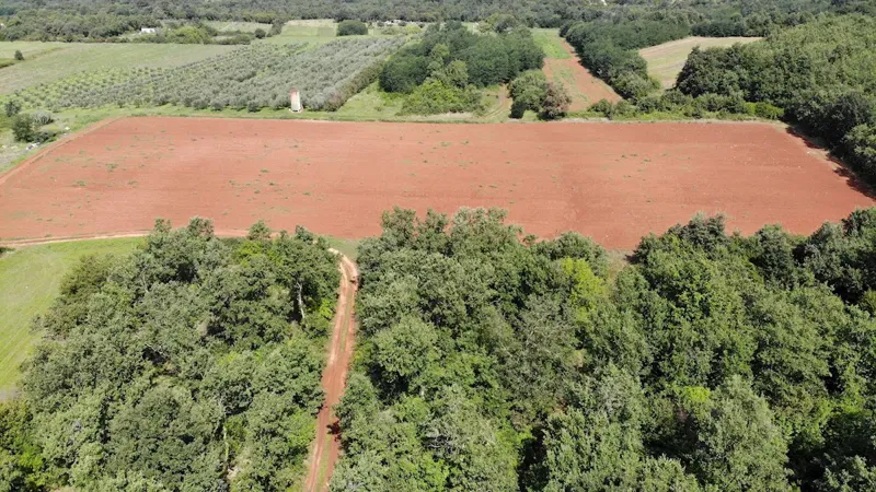 Immobiliare Istria, vendo terreno agricolo, dintorni Umag – 3