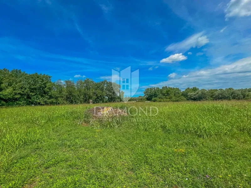 Novigrad area, spacious building plot with potential for investment – 2