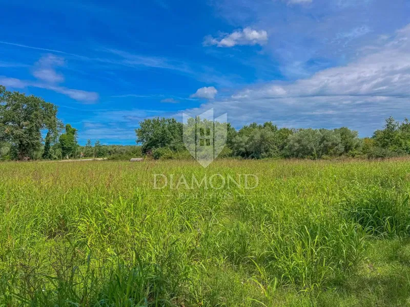 Novigrad area, spacious building plot with potential for investment – 3