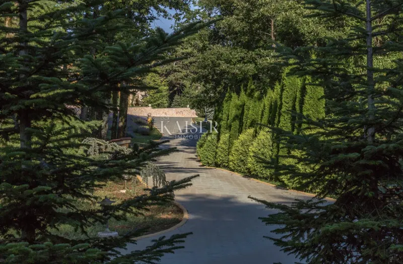 Isztria, Pazin - egyedi ingatlan, 42000 m2 – 3