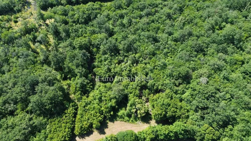 Agricultural land - island of Krk - Dobrinj – 2