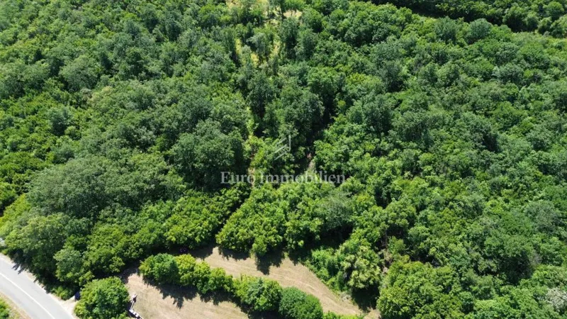 Agricultural land - island of Krk - Dobrinj – 3