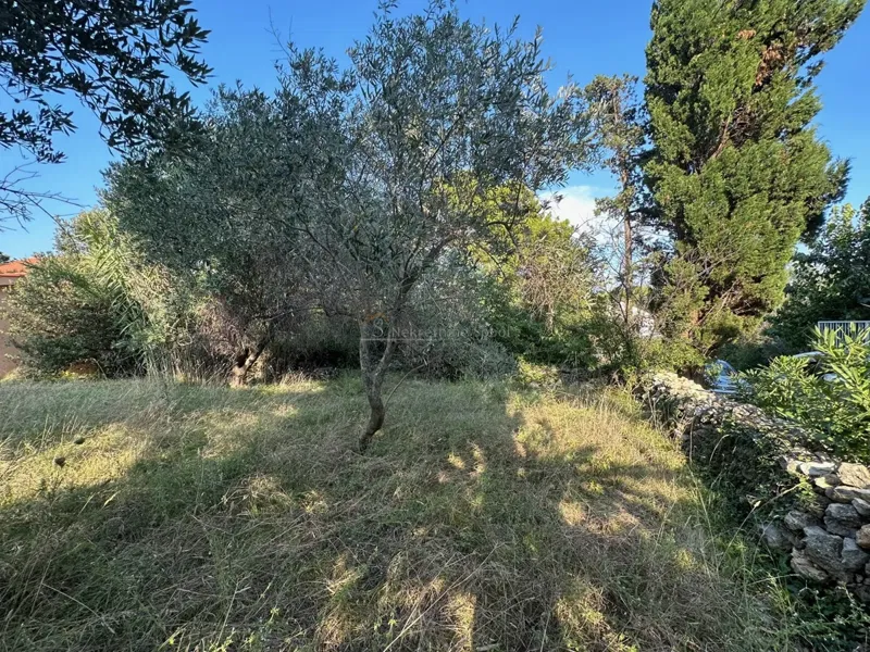 Terreno Nerezine – 2