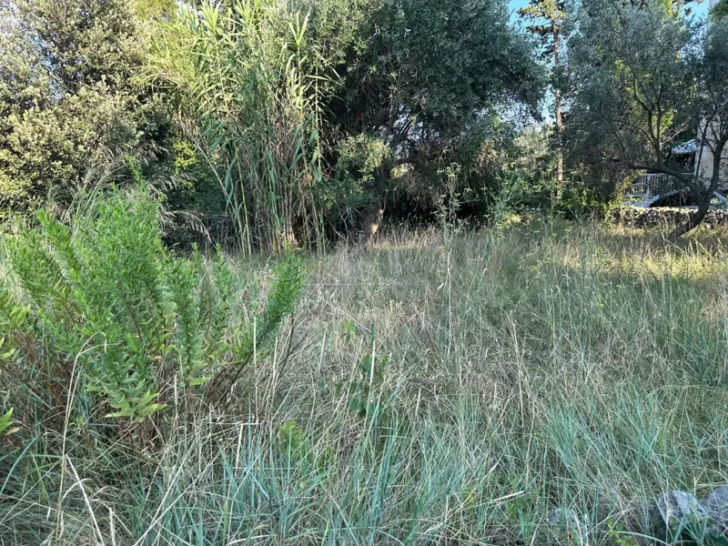 Terreno Nerezine – 3
