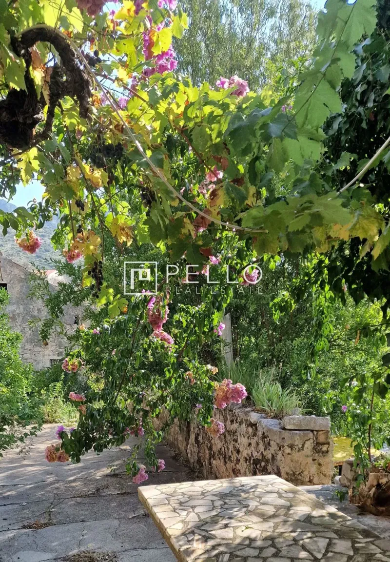 No agency commission! House with history (Noble house, Republic of Ragusa (Dubrovnik) – 2