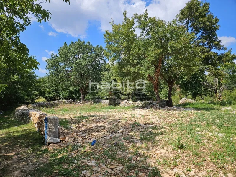 Parenzo 17 km - Terreno edificabile e agricolo, ai margini del paese, privacy e pace – 2