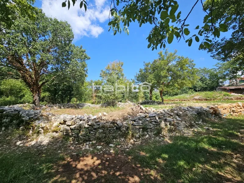 Parenzo 17 km - Terreno edificabile e agricolo, ai margini del paese, privacy e pace – 3