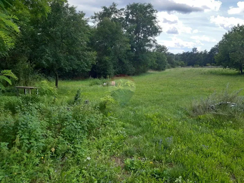 Terreno edificabile Žminj, 1.246m2 – 3