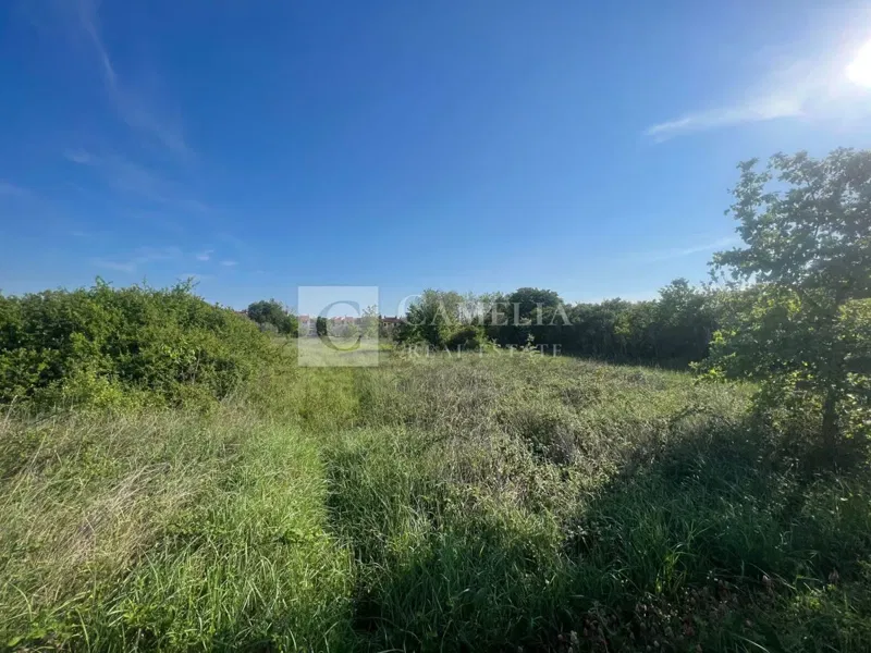 Land Vilanija, Umag, 3.000m2 – 3
