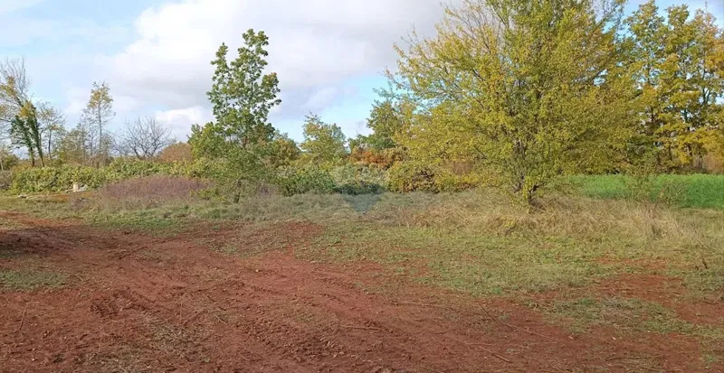 Terreno edificabile Laginji, Žminj, 1.171m2 – 2