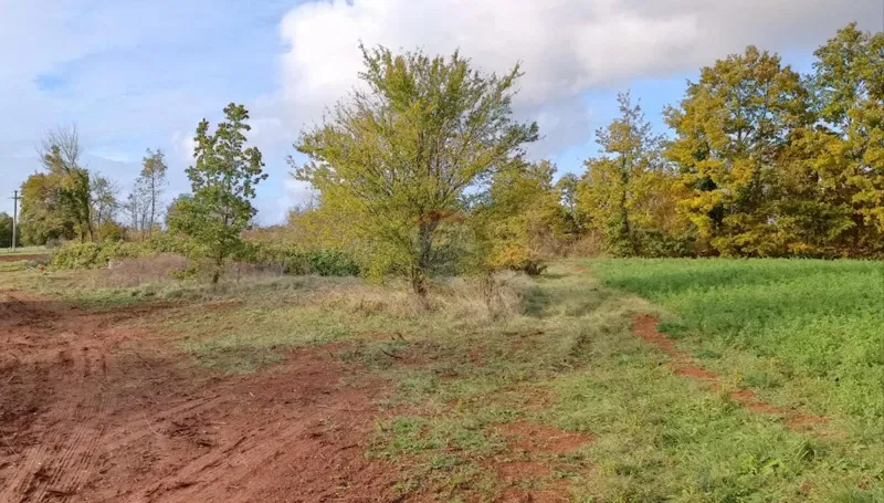 Istria, Žminj – Building plot in a beautiful location – 2