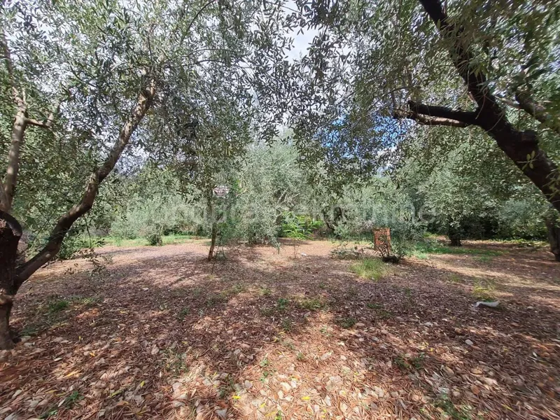Zadar, Arbanasi - building land 563 m2 – 2
