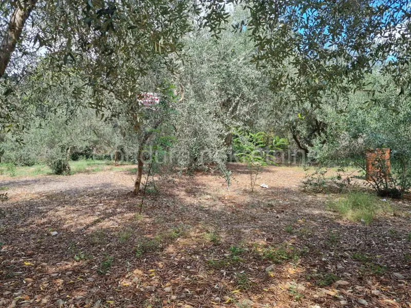 Zadar, Arbanasi - building land 563 m2 – 3