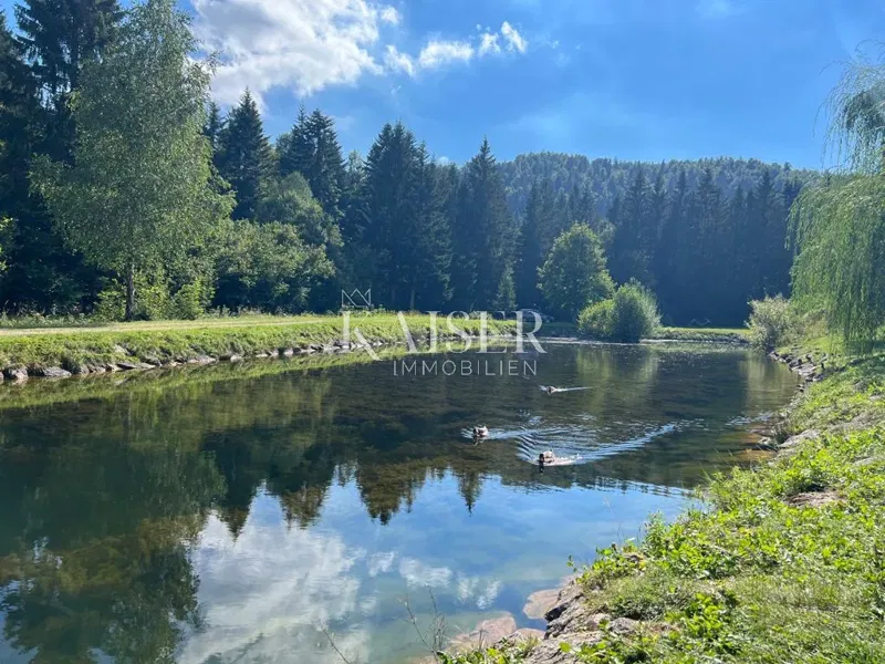 Земля під забудову Crni Lug, Delnice, 1.934m2 – 2