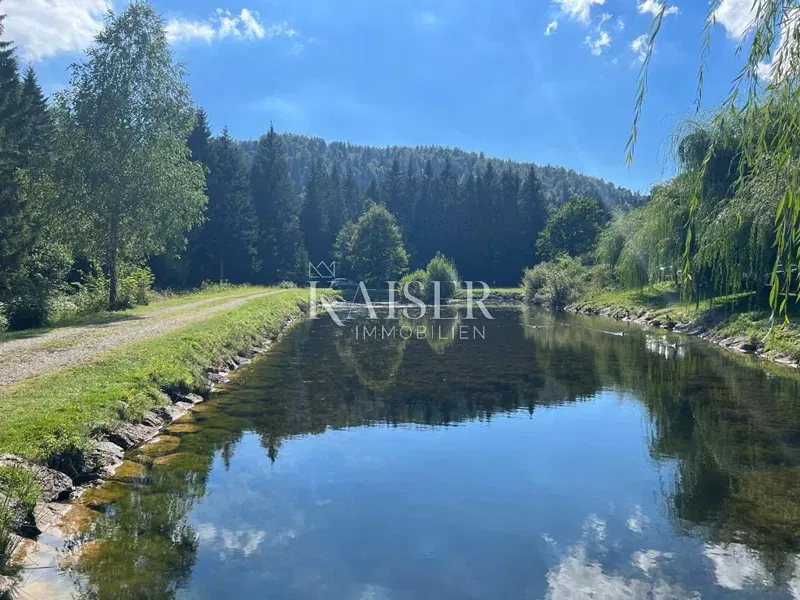 Stavebný pozemok Crni Lug, Delnice, 4.950m2 – 2