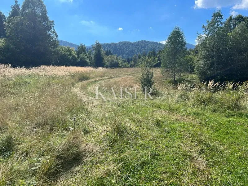 Stavebný pozemok Crni Lug, Delnice, 4.950m2 – 3