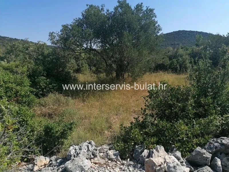 .::: Poljoprivredno zemljište površine 2.907m2 blizu Pirovca :::.