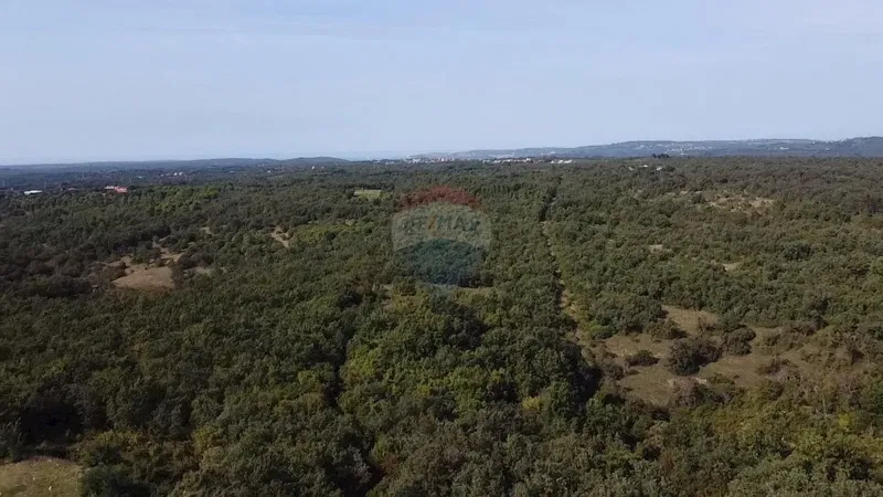 Non-structural plot Buje, 126.151m2 – 2