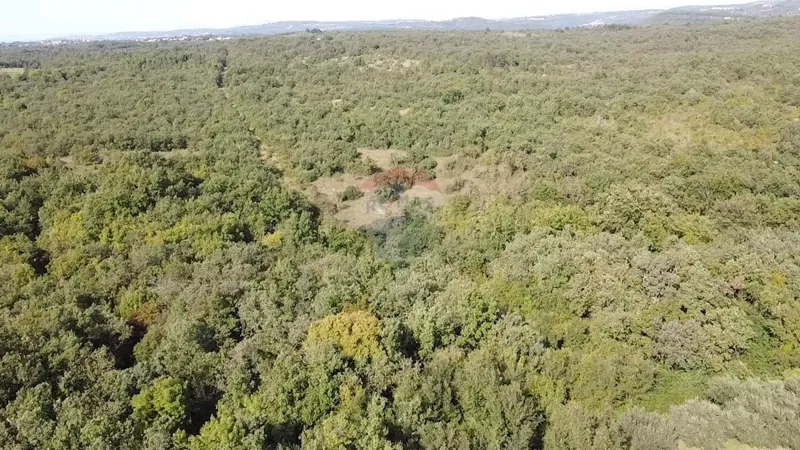 Non-structural plot Buje, 126.151m2 – 3