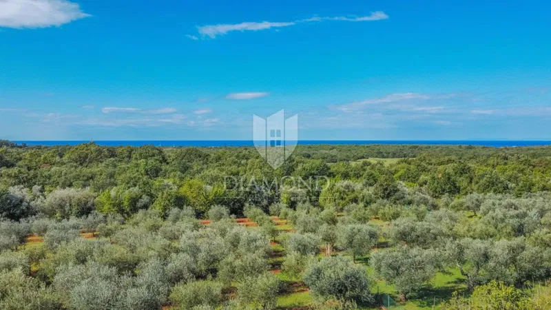 Dom Umag – 3