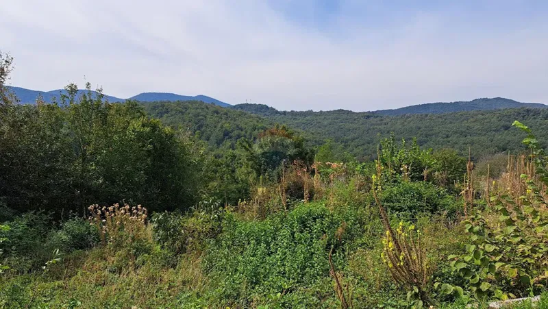 Земельный участок нестроительного назначения Brdce, Matulji, 2.287m2 – 3