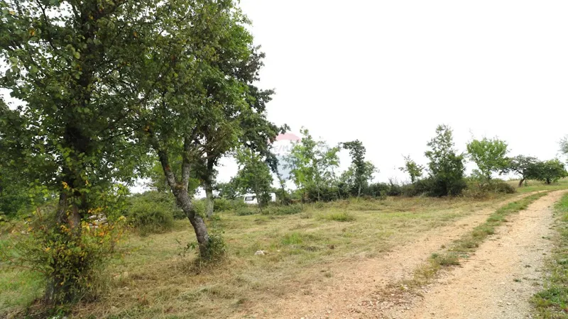 Terreno edificabile Sveti Lovreč, 588m2 – 2