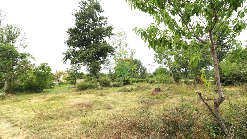 Terreno edificabile Sveti Lovreč, 588m2 – 3