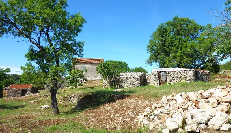 Ház Vis – 2