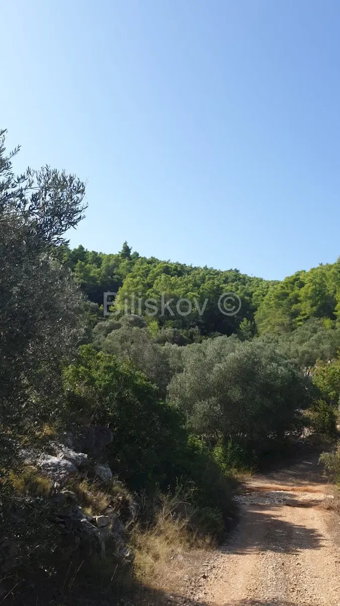 Telek Vela Luka – 2