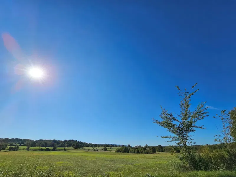 Immobiliare Istria, vendo terreno edificabile, dintorni Buje-Buie – 2
