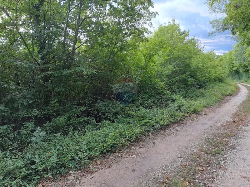 Telek Korenići – 3