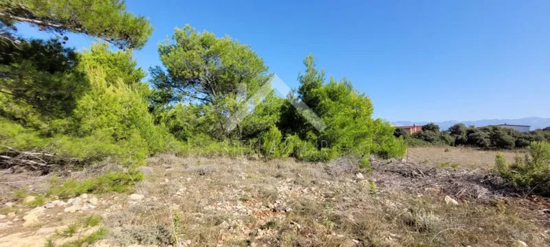 Terreno Vir – 2