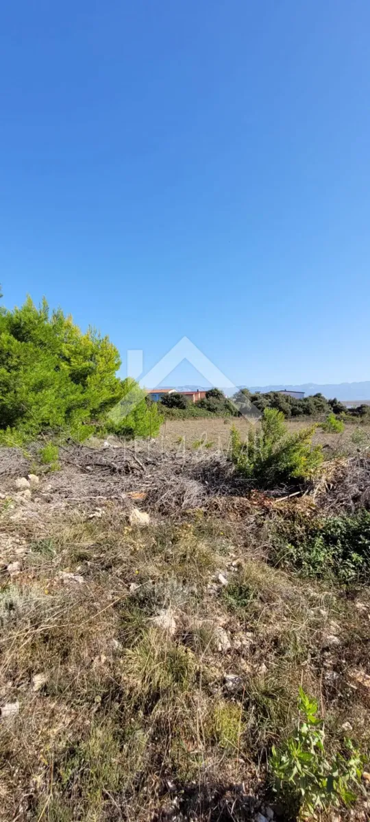 Terreno Vir – 3